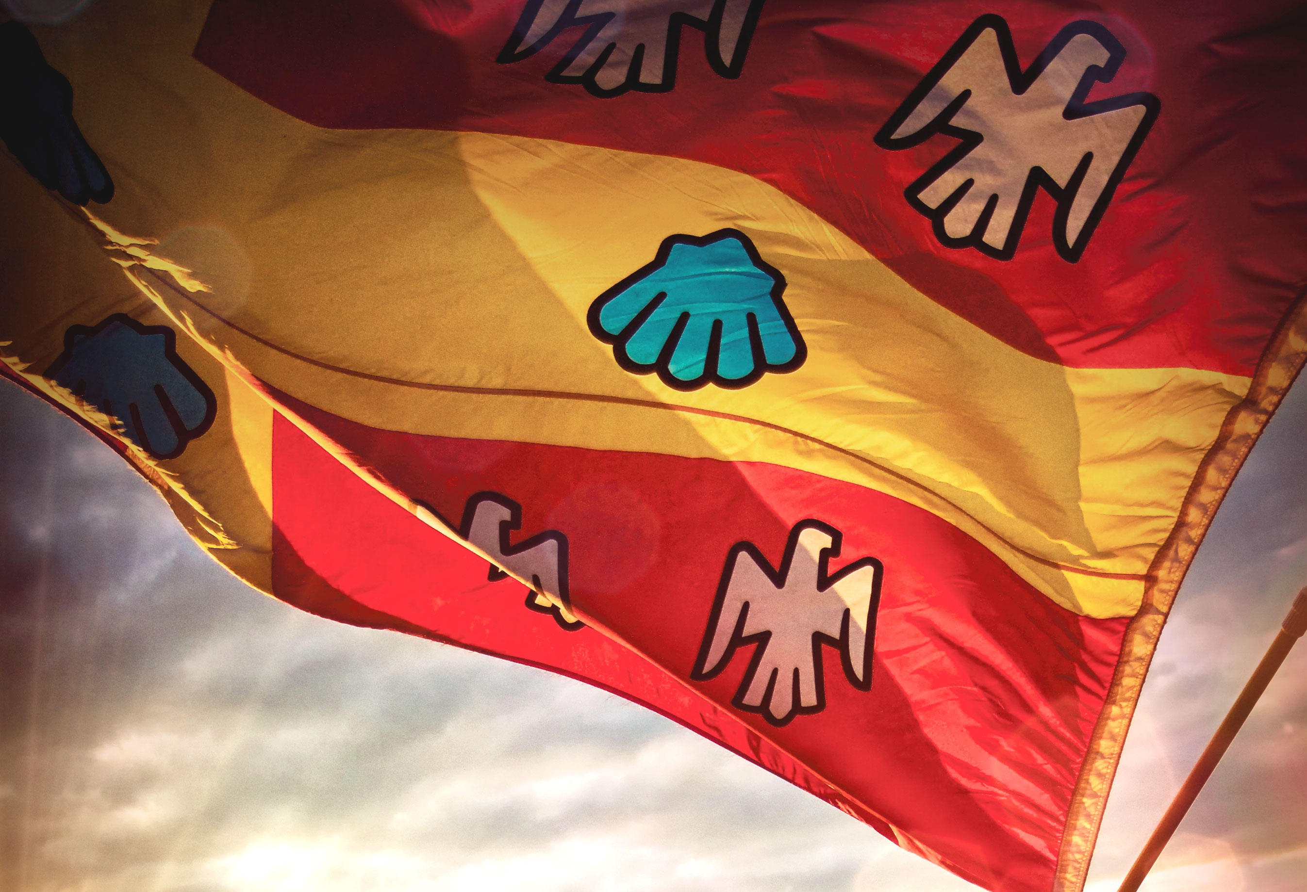 Drapeau université laval