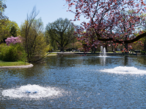 fontaine dans un parc